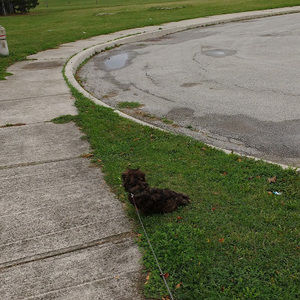 Meet your Posher, Tatjana